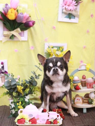 20230323ボーくん